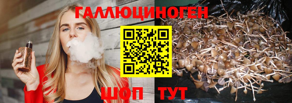 Донецк  Псилоцибиновые грибы ЛСД  Вход с VPN 